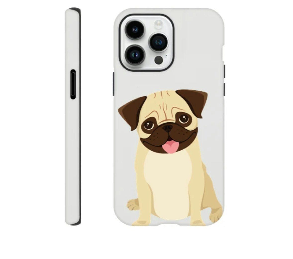 iPhone 13 Pro Case